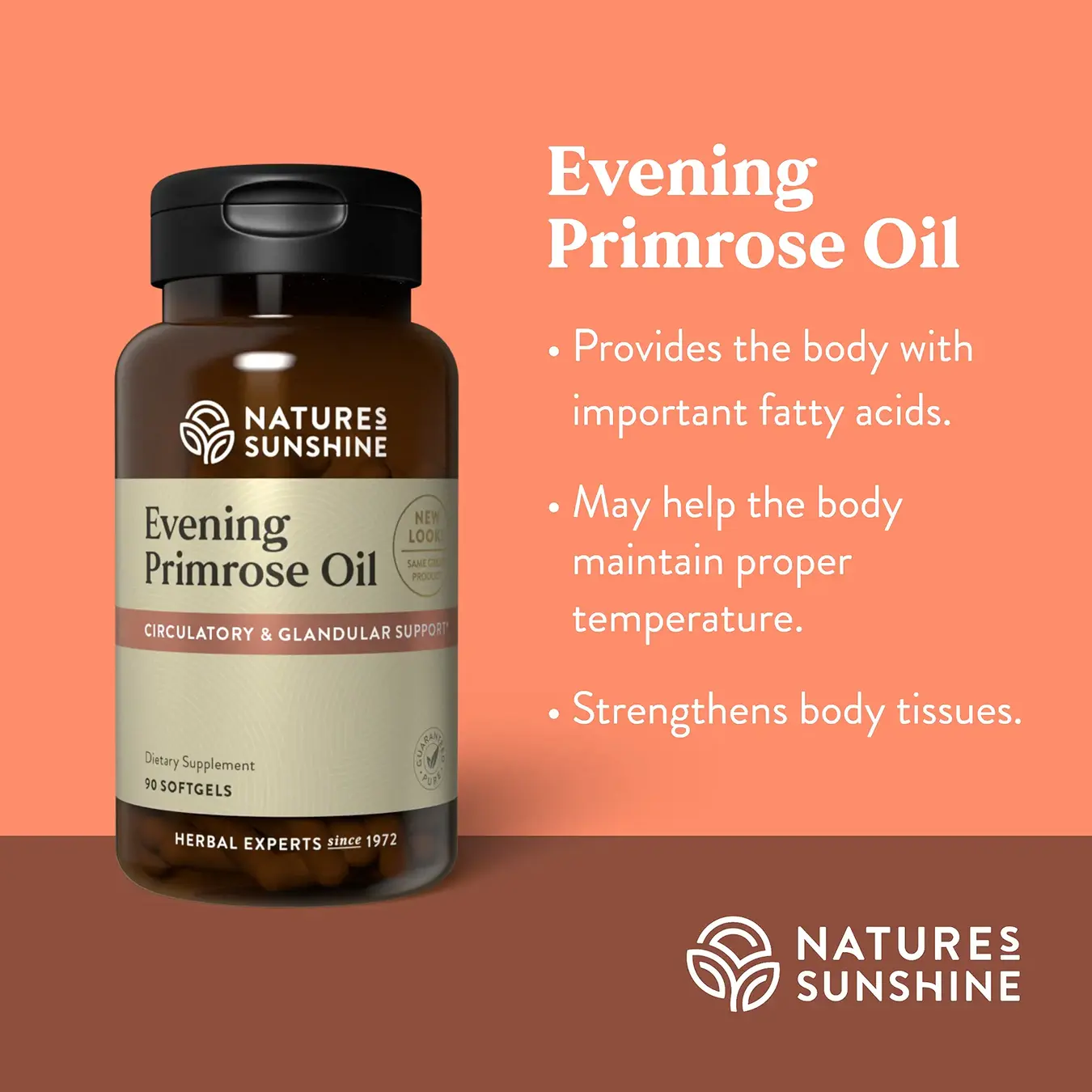 Evening Primrose Oil